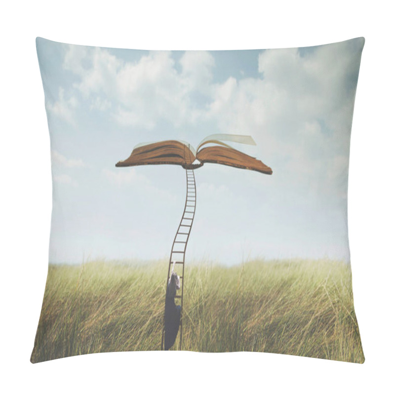 Personality  Success Concept, Surreal Woman Climbs A Strange Ladder To Reach An Open Book Suspended In The Sky Pillow Covers