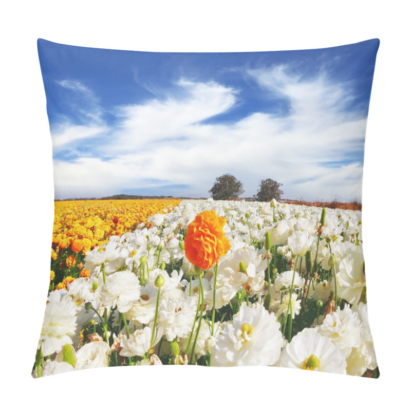 Personality  Huge Kibbutz Field Of  Buttercups  Pillow Covers