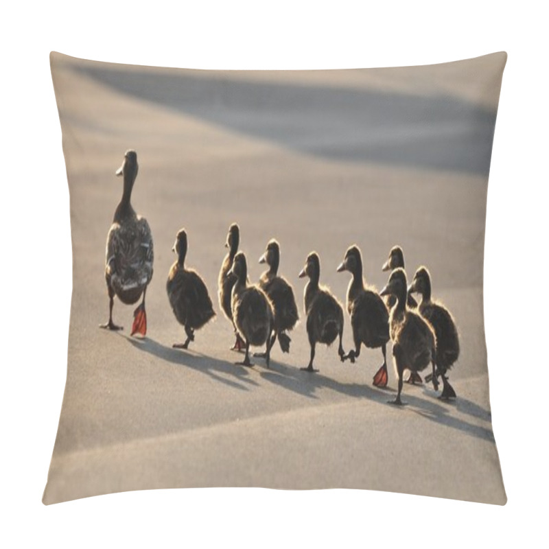 Personality  Ducks Pillow Covers