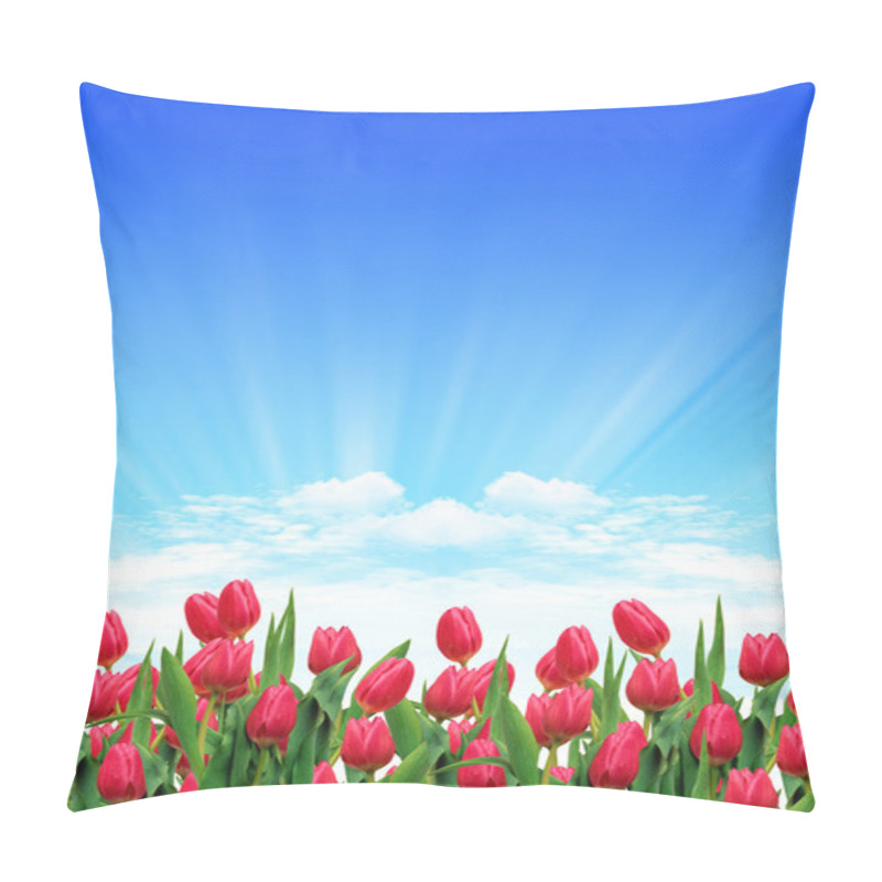 Personality  Tulip Garden Pillow Covers