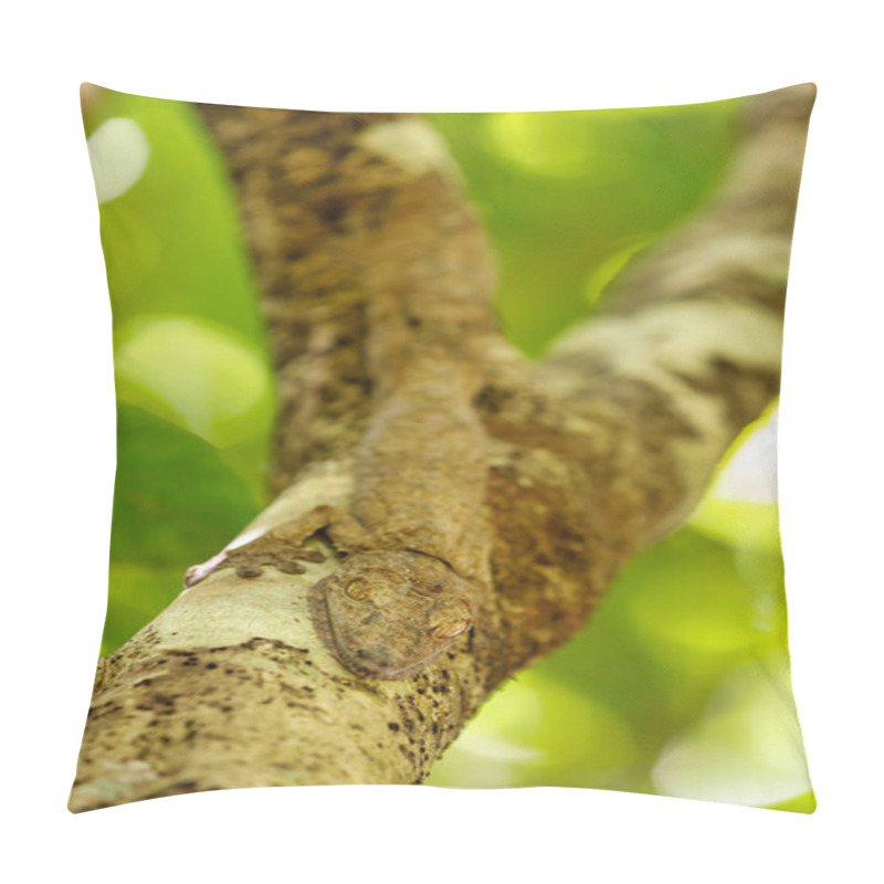 Personality  Leaf-tailed Gecko, Uroplatus Fimbriatus, Madagascar Pillow Covers