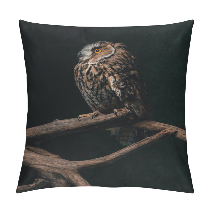 Personality  Wild Owl Sitting In Dark On Wooden Branch Isolated On Black Pillow Covers