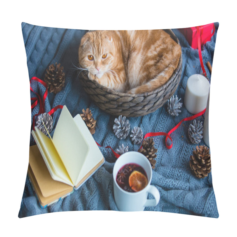 Personality  Ginger Cat In Christmas Basket  Pillow Covers