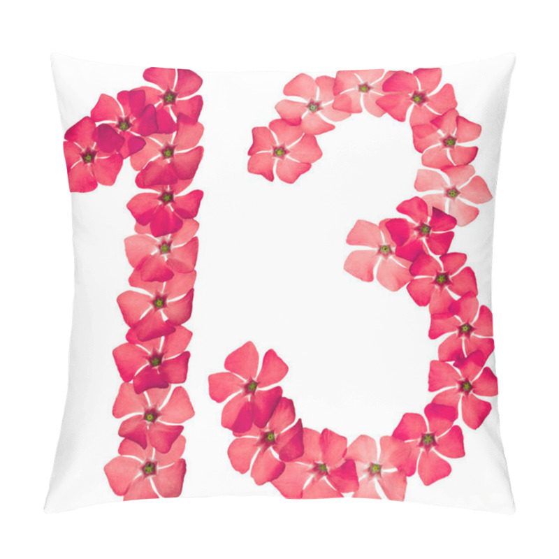 Personality  Numeral 13, Thirteen, From Natural Red Flowers Of Periwinkle, Isolated On White Background Pillow Covers