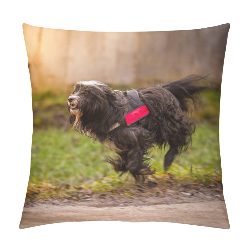 Personality  Tibetan Terrier Pillow Covers