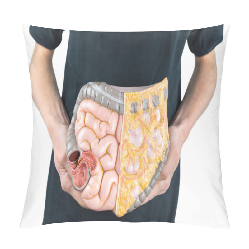 Personality  Man Holding Model Of Human Intestines Or Bowels On White Pillow Covers