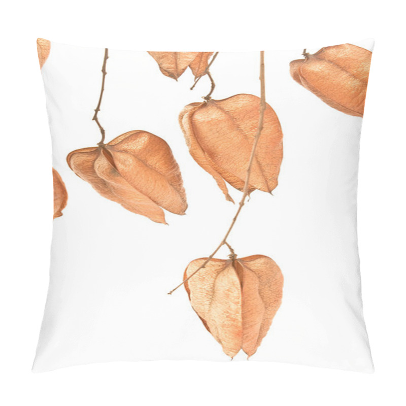 Personality  Golden Rain Tree Seed Pods (koelreuteria Paniculata) Pillow Covers