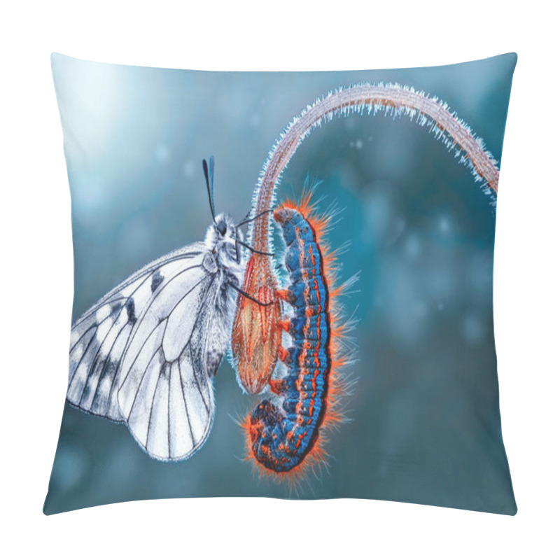 Personality  Closeup   Beautiful Butterfly Sitting On Flower Pillow Covers