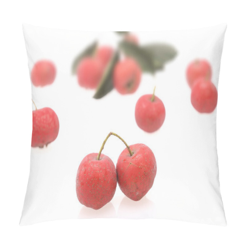 Personality  Hawthorn On White Background Pillow Covers