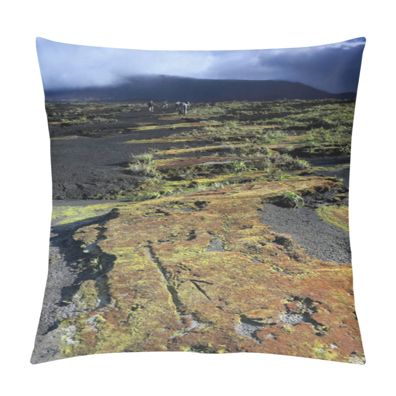 Personality  Inside The 12km.-wide Volcanic Caldera. Ambrym Island-Vanuatu. 5876 Pillow Covers