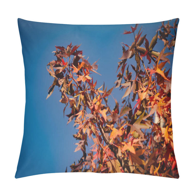 Personality  Autumn Leaves Background. Autumn Leaf. Orange Red Leaf Autumn Background. Forest Background. Yellow Nature Background. Orange Leaf In Forest. Leaves Plants Backdrop Pillow Covers