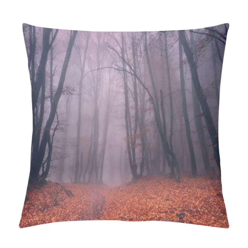 Personality  Road Through A Mystical Foggy Beech Forest In The Fall. Pillow Covers