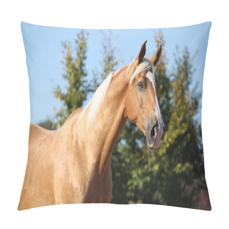 Personality  Amazing Palomino Horse With Blond Hair Pillow Covers