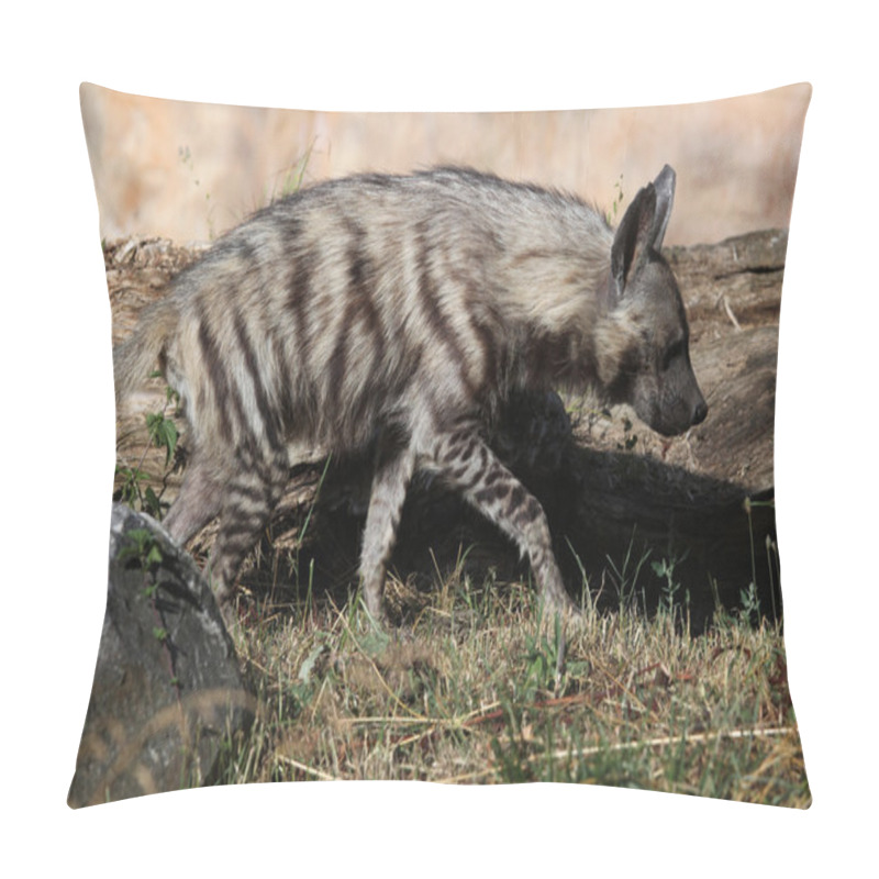 Personality  Wild Striped Hyena Pillow Covers