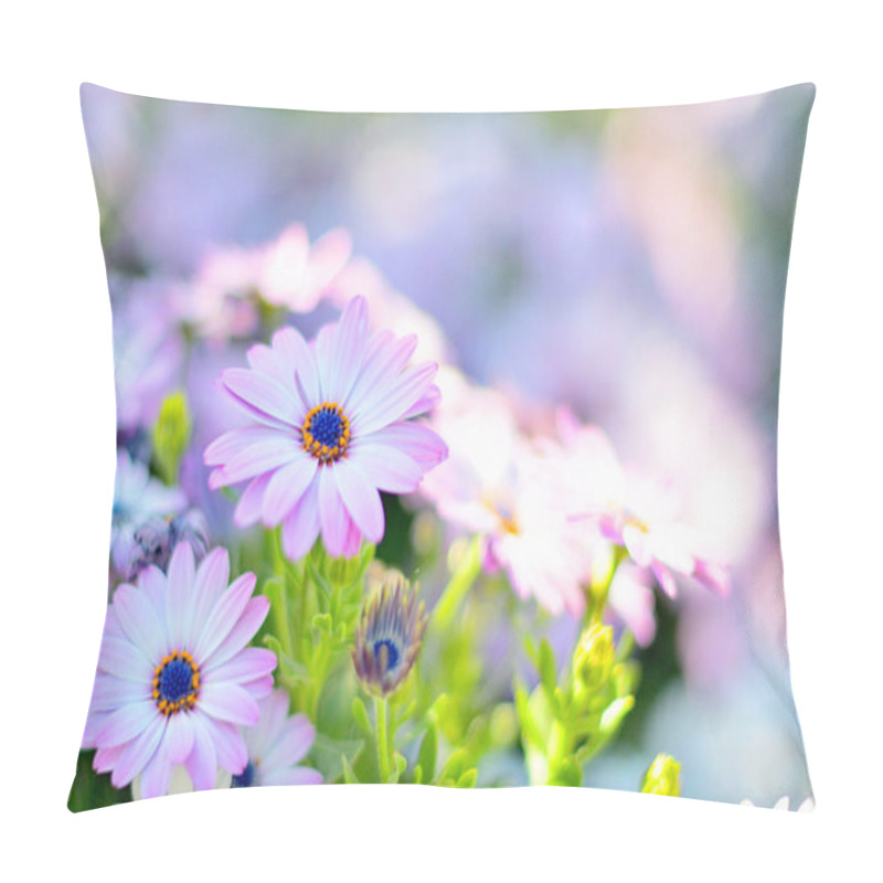 Personality  Chamomile Flowers From The Aster Family.Camomile,Daisy,Matricaria Pillow Covers