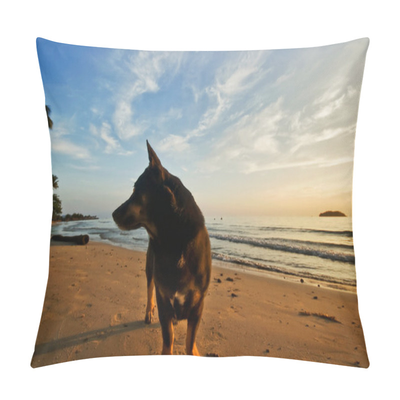 Personality  Dog On The Beach Pillow Covers