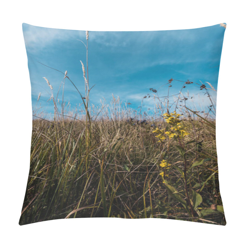 Personality  Yellow Blooming Wildflowers In Field Against Blue Sky  Pillow Covers