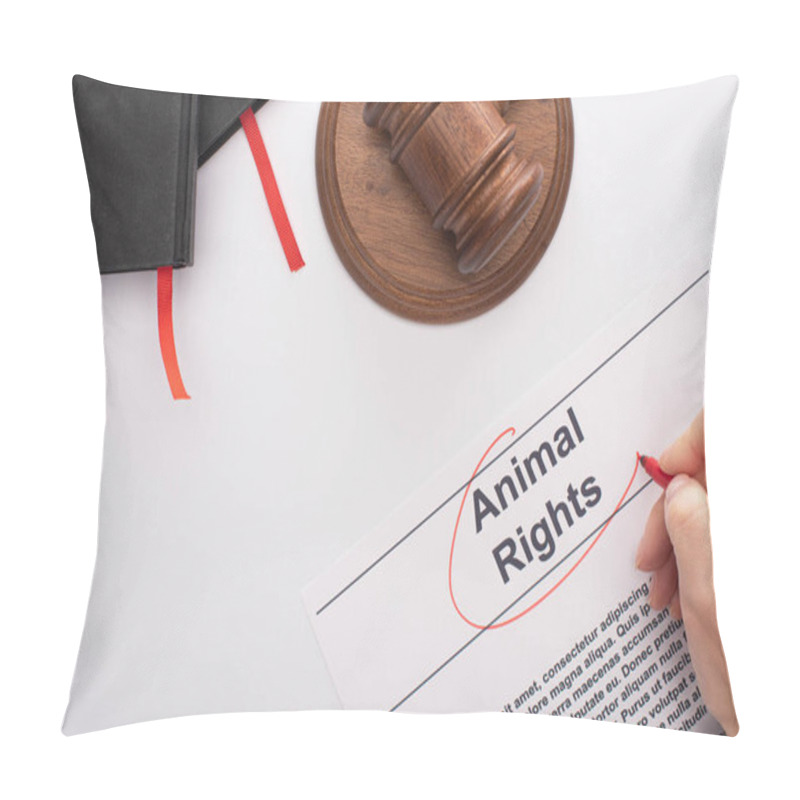 Personality  Partial View Of Woman Circling Animal Rights Inscription With Red Felt Pen Near Judge Gavel And Black Notebooks On White Background Pillow Covers