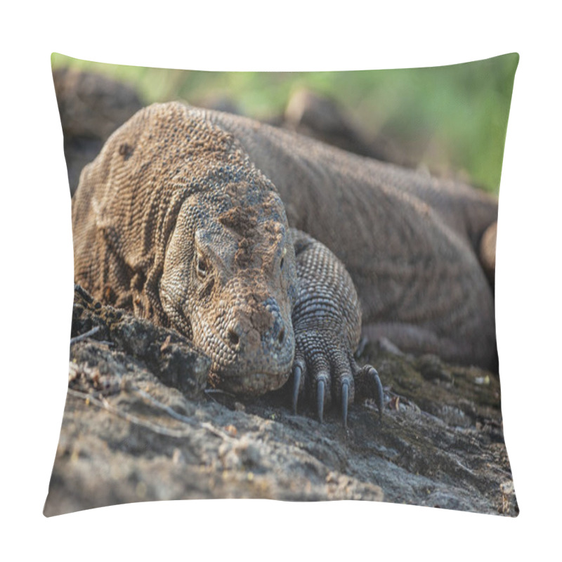 Personality  Close-up Of Komodo Dragon In Komodo Island Pillow Covers