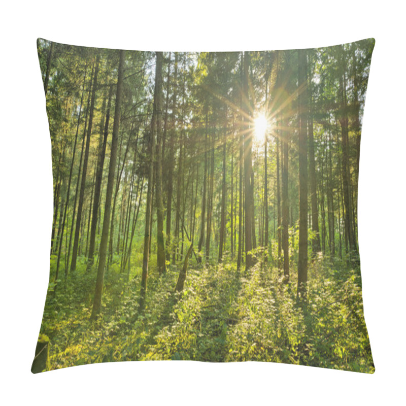 Personality  Suburst In Natural Forest Pillow Covers