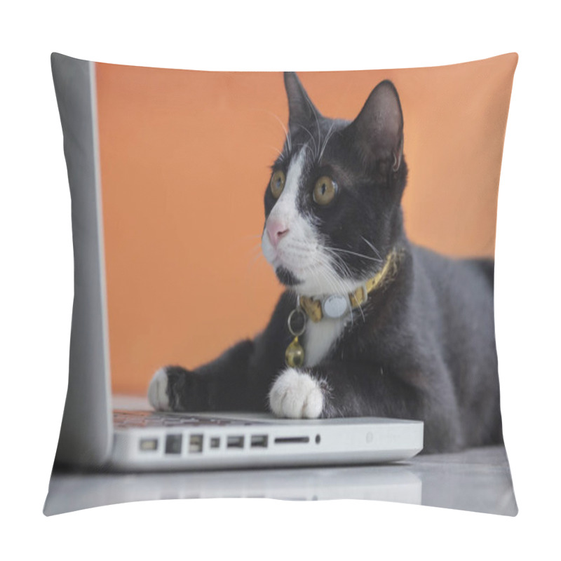 Personality  Black Cat Working At The Computer As A Developer Online Pillow Covers