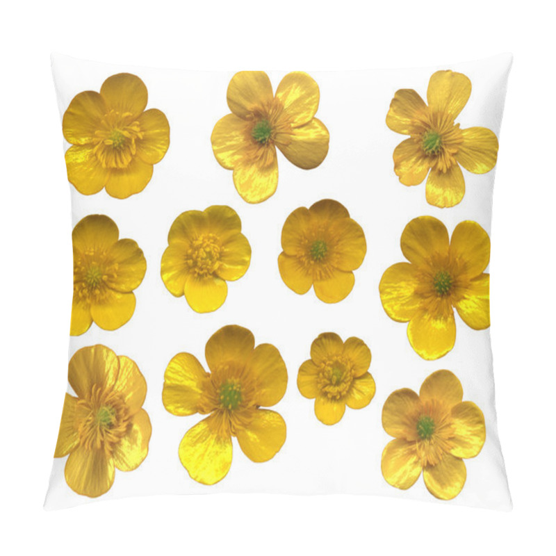 Personality  Butter Cups Blossoms Pillow Covers