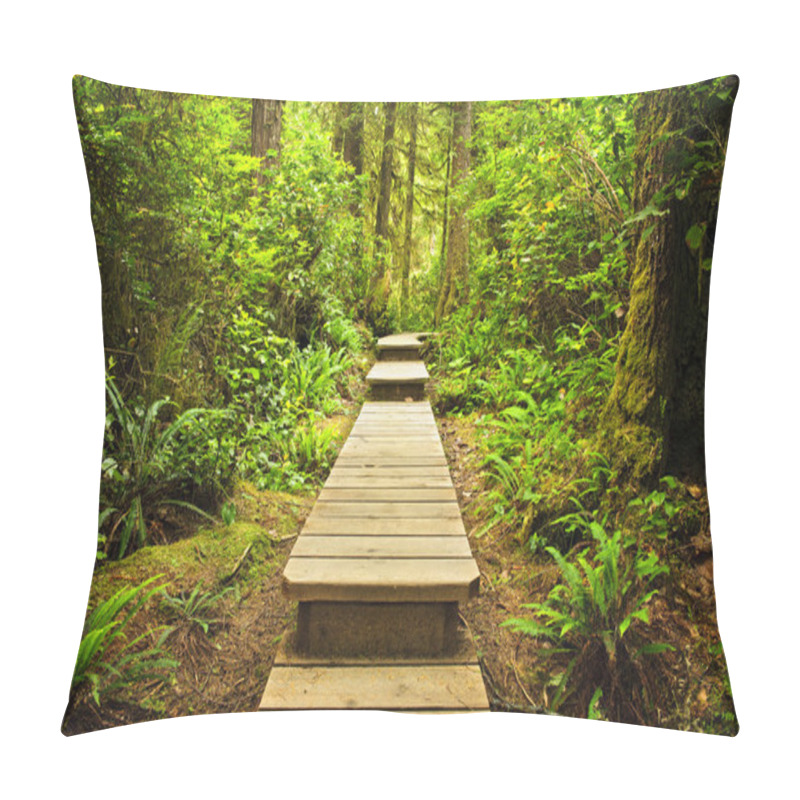 Personality  Path In Temperate Rainforest Pillow Covers