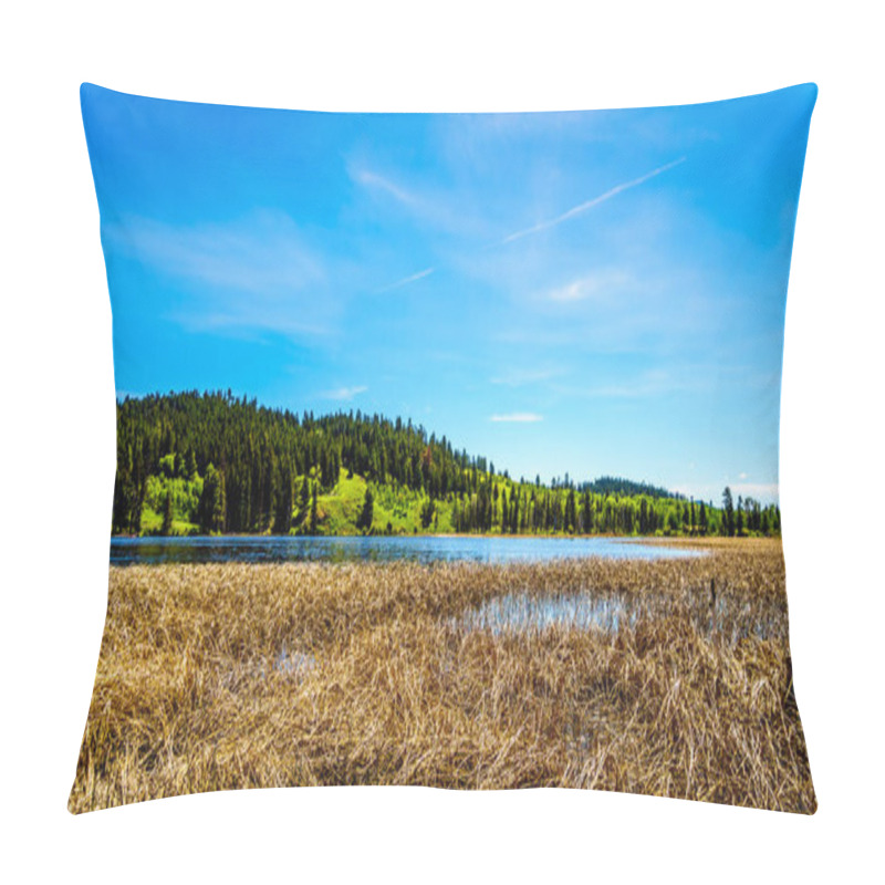 Personality  Kidd Lake Along Highway 5A, The Kamloops-Princeton Highway, Between The Towns Of Merritt And Princeton In British Columbia, Canada Pillow Covers