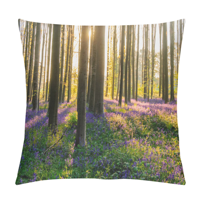 Personality  Sunrise Illuminating Bluebells Pillow Covers