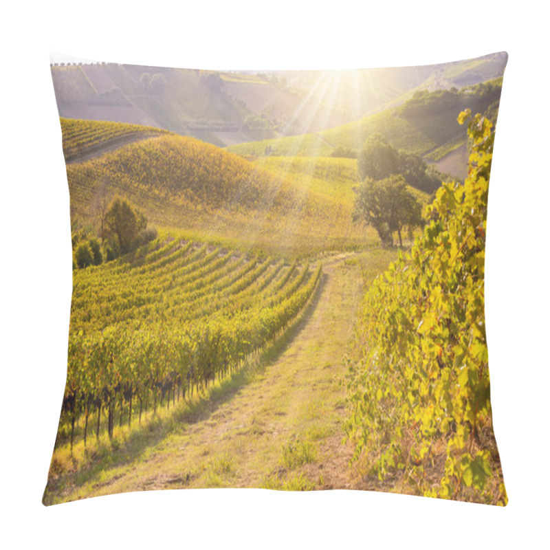 Personality  Vineyards And Winery In Fall Lit By Sun Pillow Covers