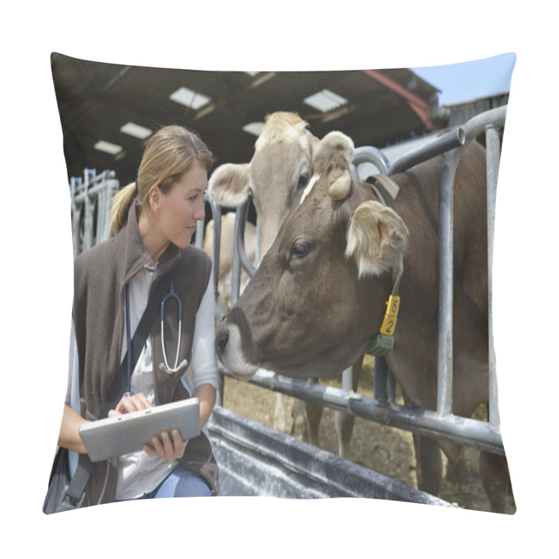 Personality  Veterinarian Checking On Health Of Herd Pillow Covers