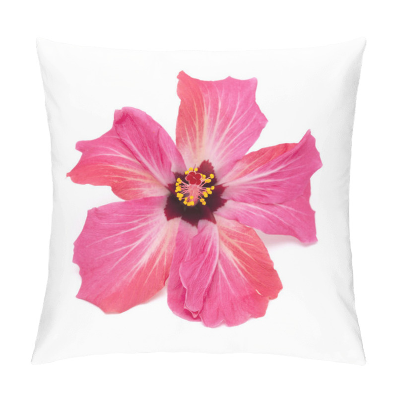 Personality  Pink Hibiscus Flower Isolated Pillow Covers