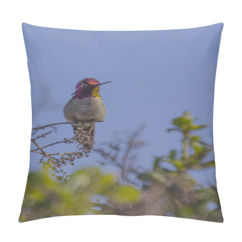 Personality  Allen's Hummingbird Pillow Covers