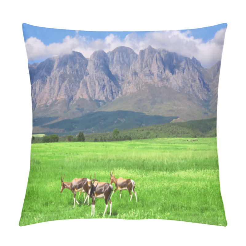 Personality  Antelopes, Lawn, Mountain Pillow Covers