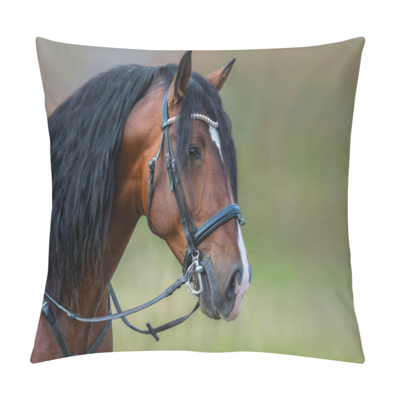 Personality  Andalusian Bay Horse With Long Mane In Bridle. Pillow Covers