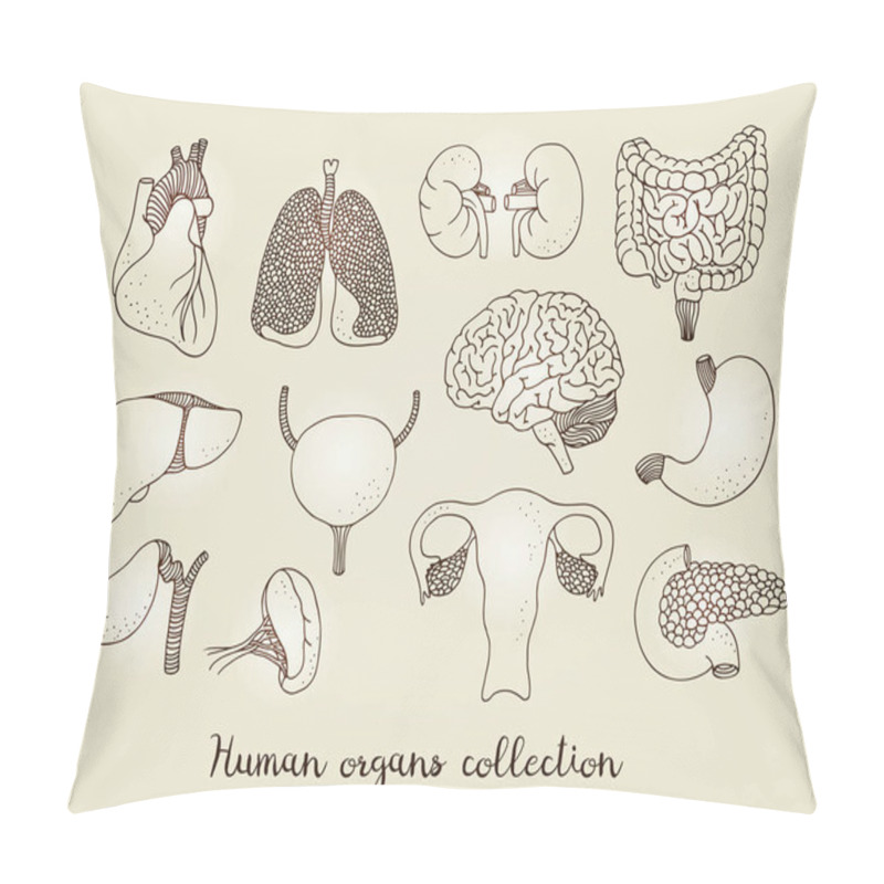 Personality  Hand Drawn Set Of Human Internal Organs, Vector Anatomy Collection Isolated On Beige Background Pillow Covers