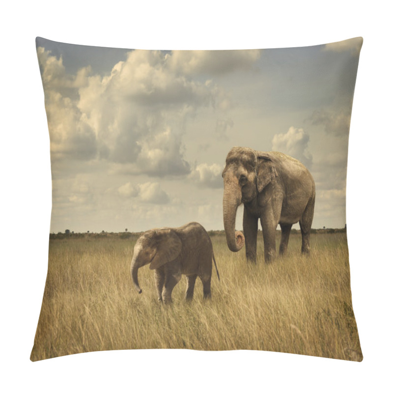 Personality  Elephants Pillow Covers