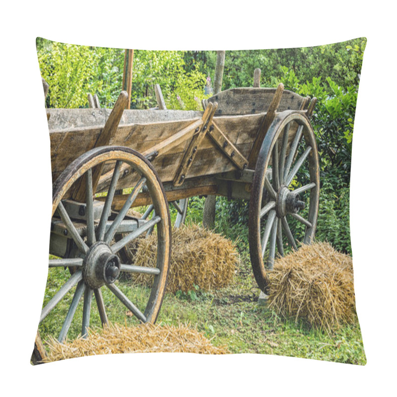 Personality  An Old Horse Trailer Pillow Covers