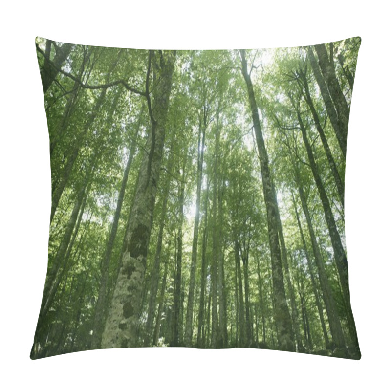 Personality  Beech Green Magic Forest Woods Pillow Covers