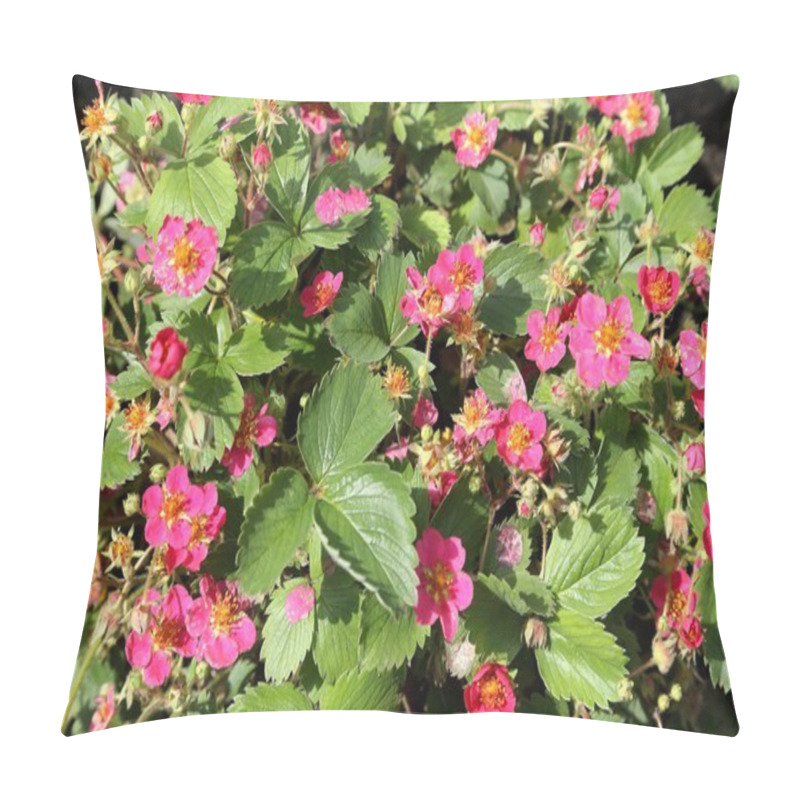 Personality  Flowering Strawberry. Pillow Covers