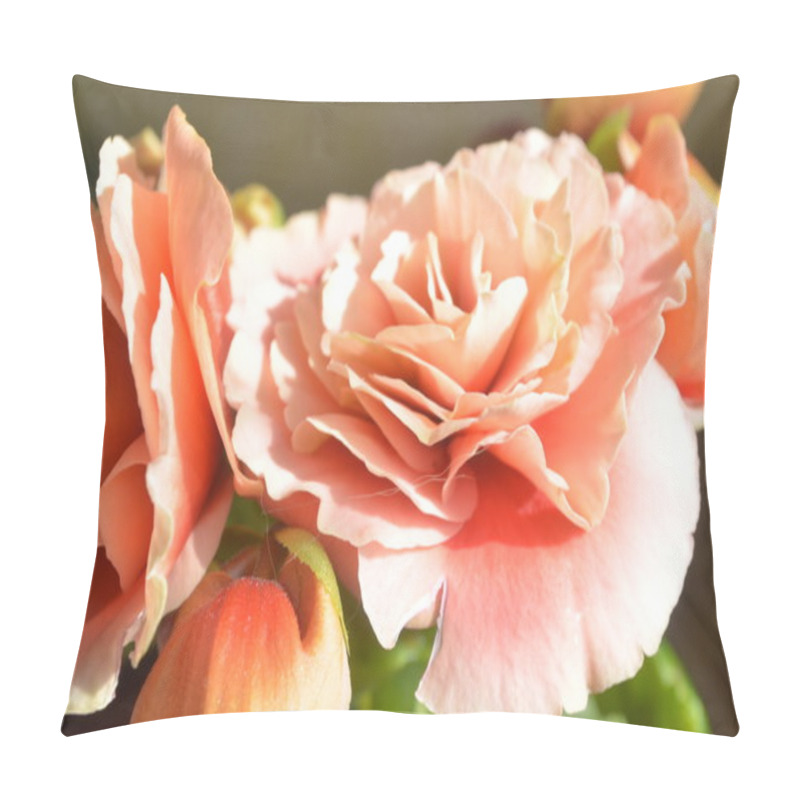 Personality  Tender Ivory Begonia Flower Pillow Covers