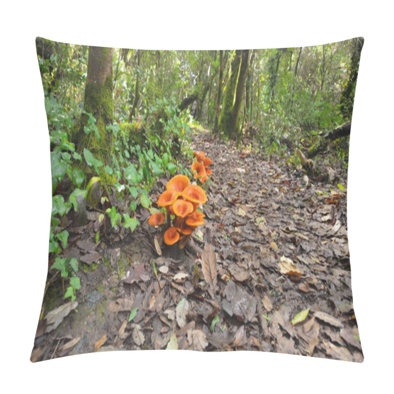 Personality  Vibrant Orange Mushrooms Growing In Clusters On Forest Floor Amid Fallen Autumn Leaves And Green Undergrowth, Creating A Striking Natural Display In Woodland At Rio De Mouros Pathway In Condeixa, Coimbra Portugal. Pillow Covers