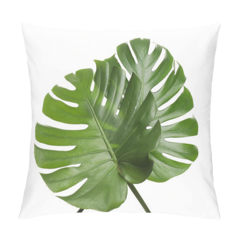 Personality  Fresh Green Tropical Leaves On White Background Pillow Covers