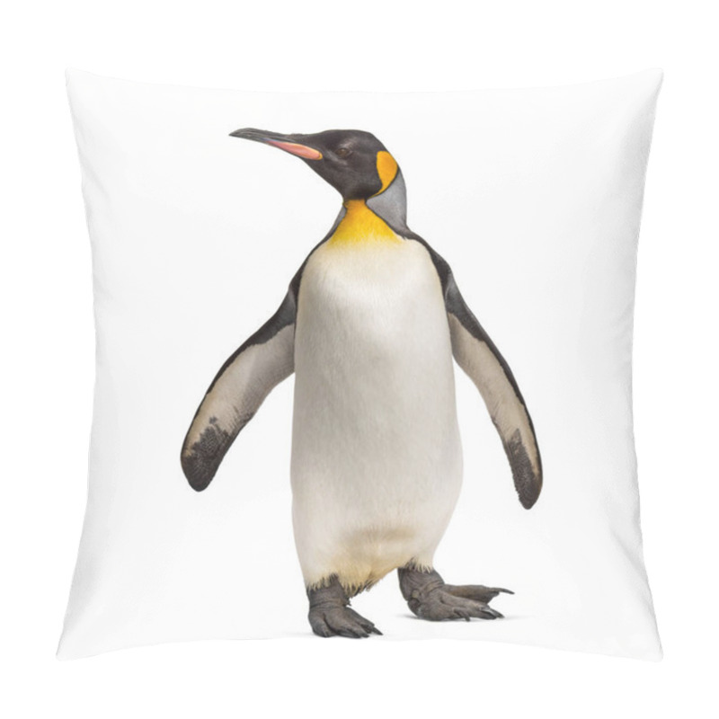 Personality  King Penguin Standing, Isoletd On White Pillow Covers