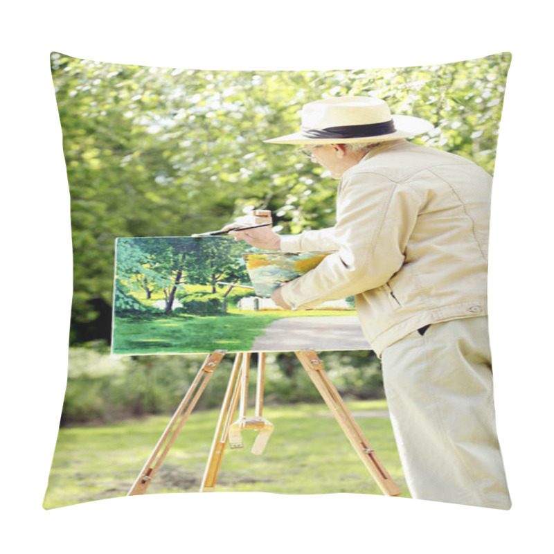 Personality  Senior Man Painting In The Park Pillow Covers