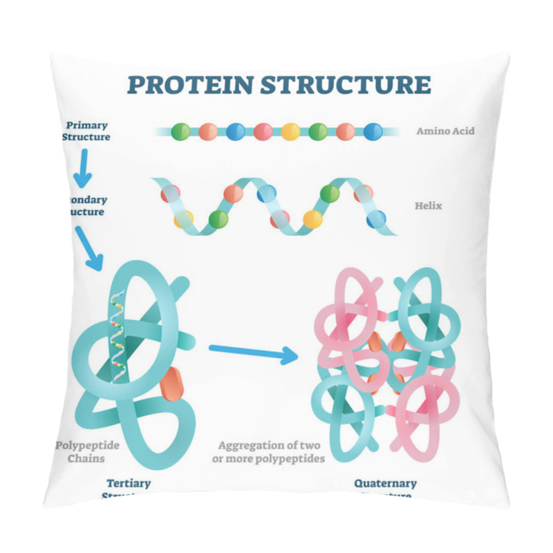 Personality  Protein Structure Vector Illustration. Labeled Amino Acid Chain Molecules. Pillow Covers