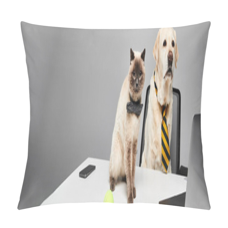 Personality  A Cat And A Dog Peacefully Sit Side By Side At A Desk In A Cozy Studio Setting, Showcasing Friendship And Companionship. Pillow Covers