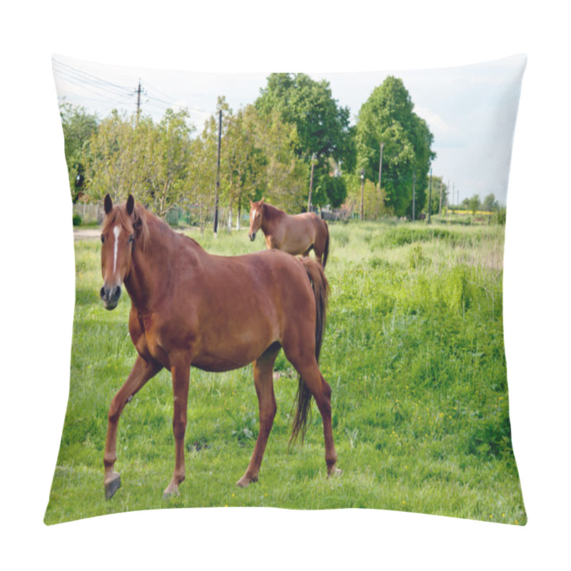 Personality  Rural Landscape Pillow Covers