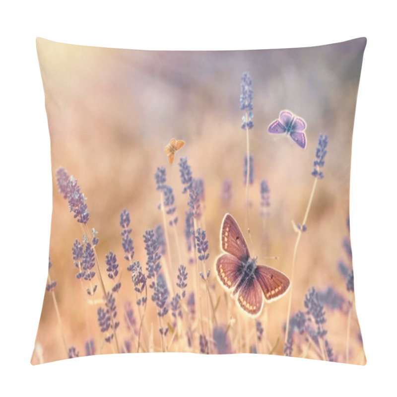 Personality  Butterfly - Butterflies In Lavender Garden Lit By Sun Rays (sunlight) Pillow Covers