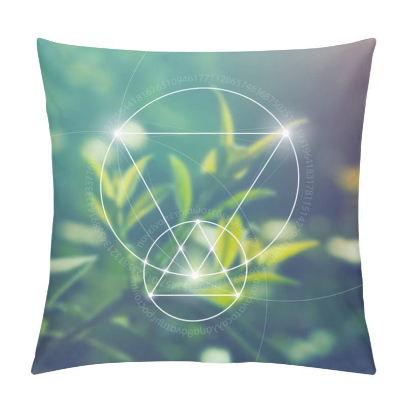 Personality  Sacred Geometry. Mathematics, Nature, And Spirituality In Nature. The Formula Of Nature. There Is No Beginning And No End Of The Universe, And No Beginning And No End Of The Life. Pillow Covers